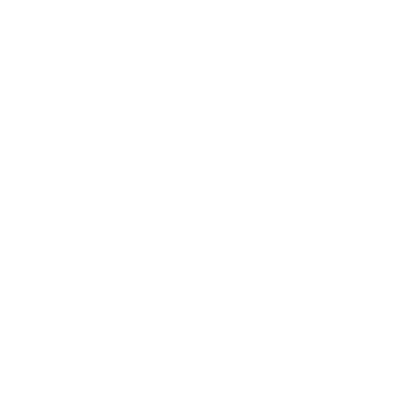 speedometer